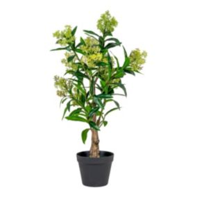 Plante Artificielle Skimmia, Vert, Polyéthylène, 40x40x75 cm, EPIKASA