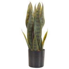 Plante artificielle SNAKE PLANT 40 cm