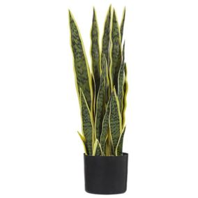 Plante artificielle SNAKE PLANT 63 cm