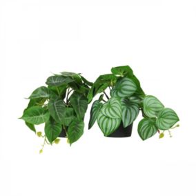 Plante artificielle tombante 18cm lot de 2