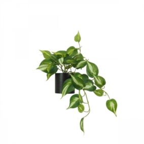 Plante artificielle tombante pothos 50cm