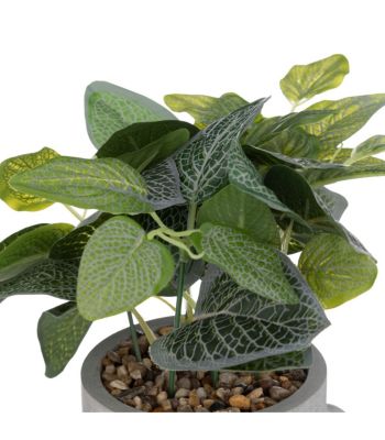 Plante artificielle Visage pot Gris clair H 26 cm