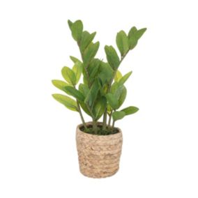 Plante artificielle Zamio en pot H 41 cm