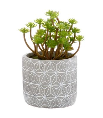 Plante grasse artificielle en pot H 17 cm