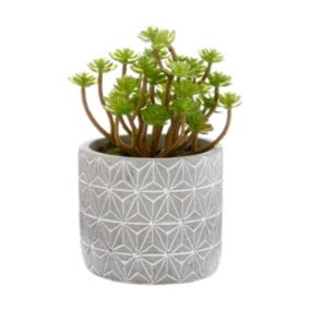 Plante grasse artificielle en pot H 17 cm