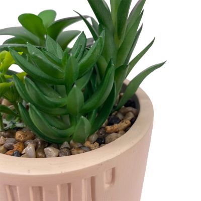 Plante grasse artificielle en pot Ornami l.10 x H. 19,5 cm blanc