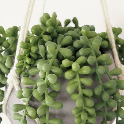 Plante succulente retombante artificielle 70cm