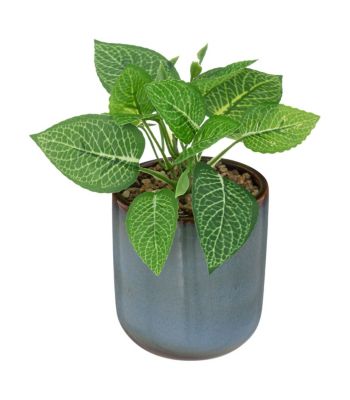 Plante verte artificielle Pot en céramique Bleue émaillée H 16 cm