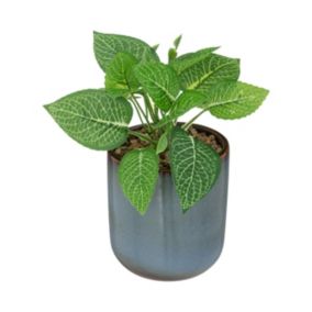 Plante verte artificielle Pot en céramique Bleue émaillée H 16 cm