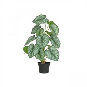 Plante verte calathea artificiel 62cm