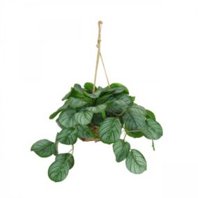 Plante verte calathea artificielle vert 50cm