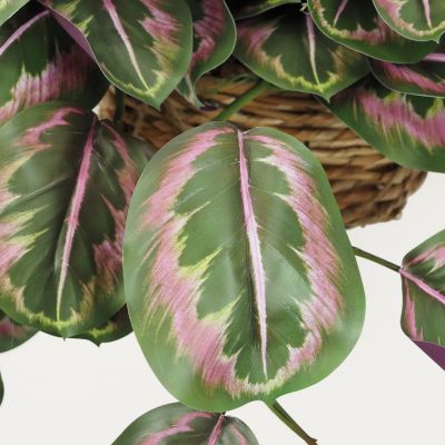 Plante verte calathea artificielle violet 50cm