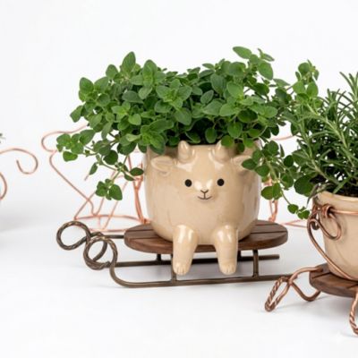 Plante verte d’intérieur en pot céramique décoratif Ø10,5 cm