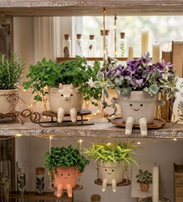 Plante verte d’intérieur en pot céramique décoratif Ø10,5 cm