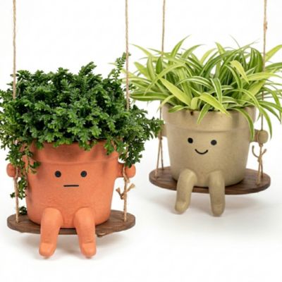 Plante verte d’intérieur en pot céramique décoratif Ø10,5 cm