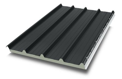 Plaque acier sandwich anthracite 7022, 300 x 100 cm (vendue à la plaque)