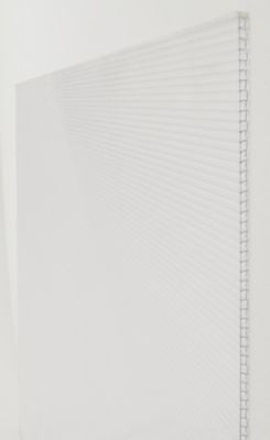 Plaque alvéolaire polycarbonate translucides 300 x 100 cm, ép.16 mm (vendue à la plaque)