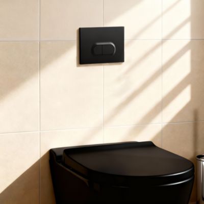Plaque de chasse d'eau noir GoodHome