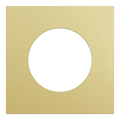 Plaque de finition 1 poste, effet laiton support blanc, Odace Métal