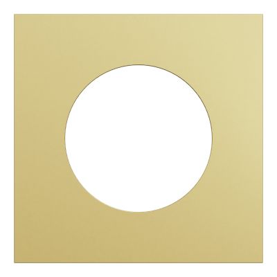 Plaque de finition 1 poste, effet laiton support noir, Odace Architecte