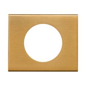 Plaque de finition 1 poste Legrand Céliane 0 691 31 coloris bronze doré l.100 x P.8,5 x H.82 mm