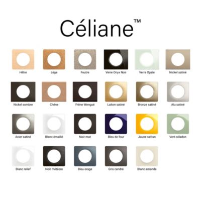 Plaque de finition 1 poste Legrand Céliane CP0121 coloris noir mat l.90 x P.9 x H.82 mm