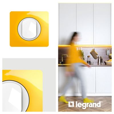 Legrand 066671 Plaque Céliane - Memories - 1 Poste - Today