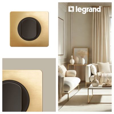 Plaque de finition 1 poste Legrand Céliane CP1221 coloris laiton satiné l.90 x P.9 x H.82 mm