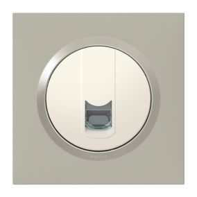 Plaque de finition 1 poste Legrand Dooxie 6 008 21 coloris plume mat avec bague plume brillante l.87 x P.10 x H.87 mm