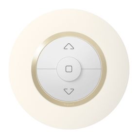Plaque de finition 1 poste Legrand Dooxie 6 009 70 coloris blanc mat avec bague dune brillante l.100 x P.10 x H.100 mm