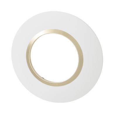 Plaque de finition 1 poste Legrand Dooxie 6 009 70 coloris blanc mat avec bague dune brillante l.100 x P.10 x H.100 mm