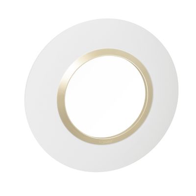 Plaque de finition 1 poste Legrand Dooxie 6 009 70 coloris blanc mat avec bague dune brillante l.100 x P.10 x H.100 mm