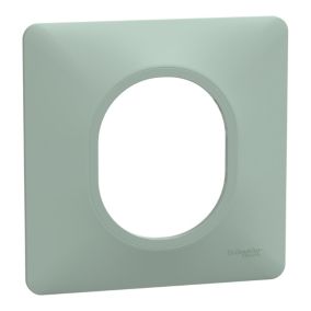 Plaque de finition 1 poste Schneider Electric Ovalis S320702A coloris sauge l.87 x P.10 x H.87 mm