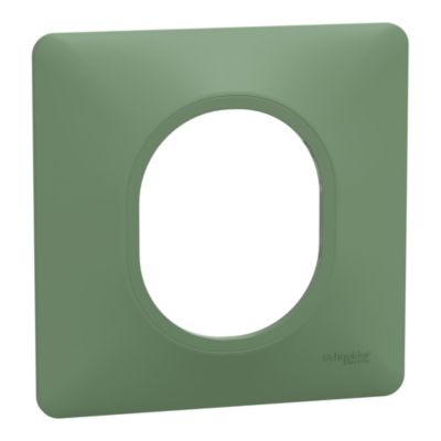 Plaque de finition 1 poste Schneider Electric Ovalis S320702B coloris vert forêt l.87 x P.10 x H.87 mm