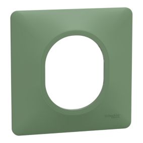 Plaque de finition 1 poste Schneider Electric Ovalis S320702B coloris vert forêt l.87 x P.10 x H.87 mm