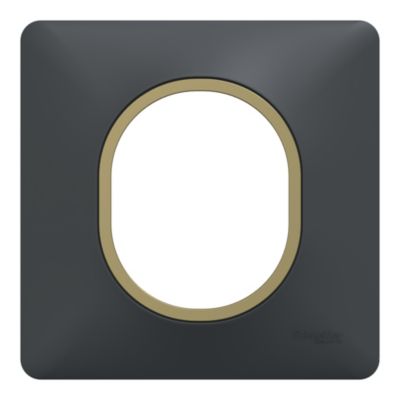 Plaque de finition 1 poste Schneider Electric Ovalis S340702E coloris anthracite avec liseré laiton l.87 x P.10 x H.87 mm
