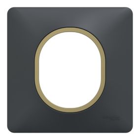 Plaque de finition 1 poste Schneider Electric Ovalis S340702E coloris anthracite avec liseré laiton l.87 x P.10 x H.87 mm