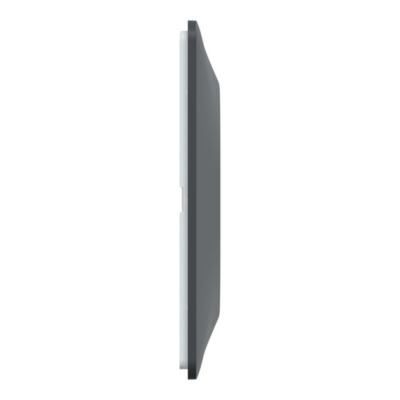Plaque de finition 1 poste Schneider Electric Ovalis S340702E coloris anthracite avec liseré laiton l.87 x P.10 x H.87 mm