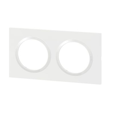 Plaque de finition 2 postes Legrand Dooxie 6 009 02 coloris blanc l.158 x P.10 x H.87 mm
