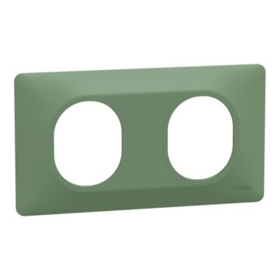 Plaque de finition 2 postes Schneider Electric Ovalis S320704B coloris vert forêt l.158 x P.10 x H.87 mm