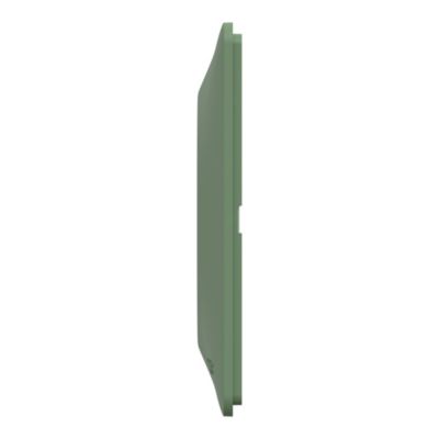 Plaque de finition 2 postes Schneider Electric Ovalis S320704B coloris vert forêt l.158 x P.10 x H.87 mm