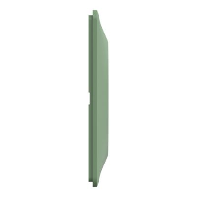 Plaque de finition 2 postes Schneider Electric Ovalis S320704B coloris vert forêt l.158 x P.10 x H.87 mm