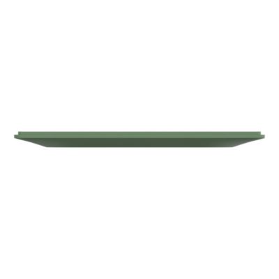 Plaque de finition 2 postes Schneider Electric Ovalis S320704B coloris vert forêt l.158 x P.10 x H.87 mm