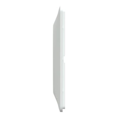 Plaque de finition 2 postes Schneider Electric Ovalis S320704D coloris blanc avec liseré laiton l.158 x P.10 x H.87 mm