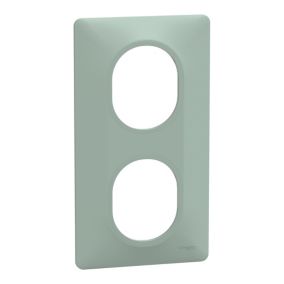 Plaque de finition 2 postes Schneider Electric Ovalis S320724A coloris sauge l.87 x P.10 x H.158 mm