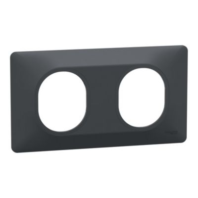 Plaque de finition 2 postes Schneider Electric Ovalis S340704 coloris anthracite l.158 x P.10 x H.87 mm