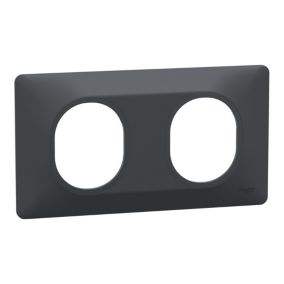 Plaque de finition 2 postes Schneider Electric Ovalis S340704 coloris anthracite l.158 x P.10 x H.87 mm