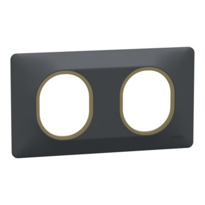 Plaque de finition 2 postes Schneider Electric Ovalis S340704E coloris anthracite avec liseré laiton l.158 x P.10 x H.87 mm