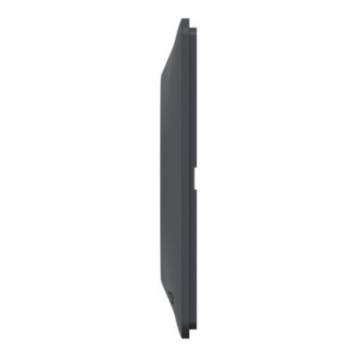 Plaque de finition 2 postes Schneider Electric Ovalis S340704E coloris anthracite avec liseré laiton l.158 x P.10 x H.87 mm