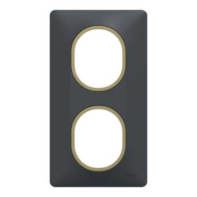 Plaque de finition 2 postes Schneider Electric Ovalis S340724E coloris anthracite avec liseré laiton l.87 x P.10 x H.158 mm
